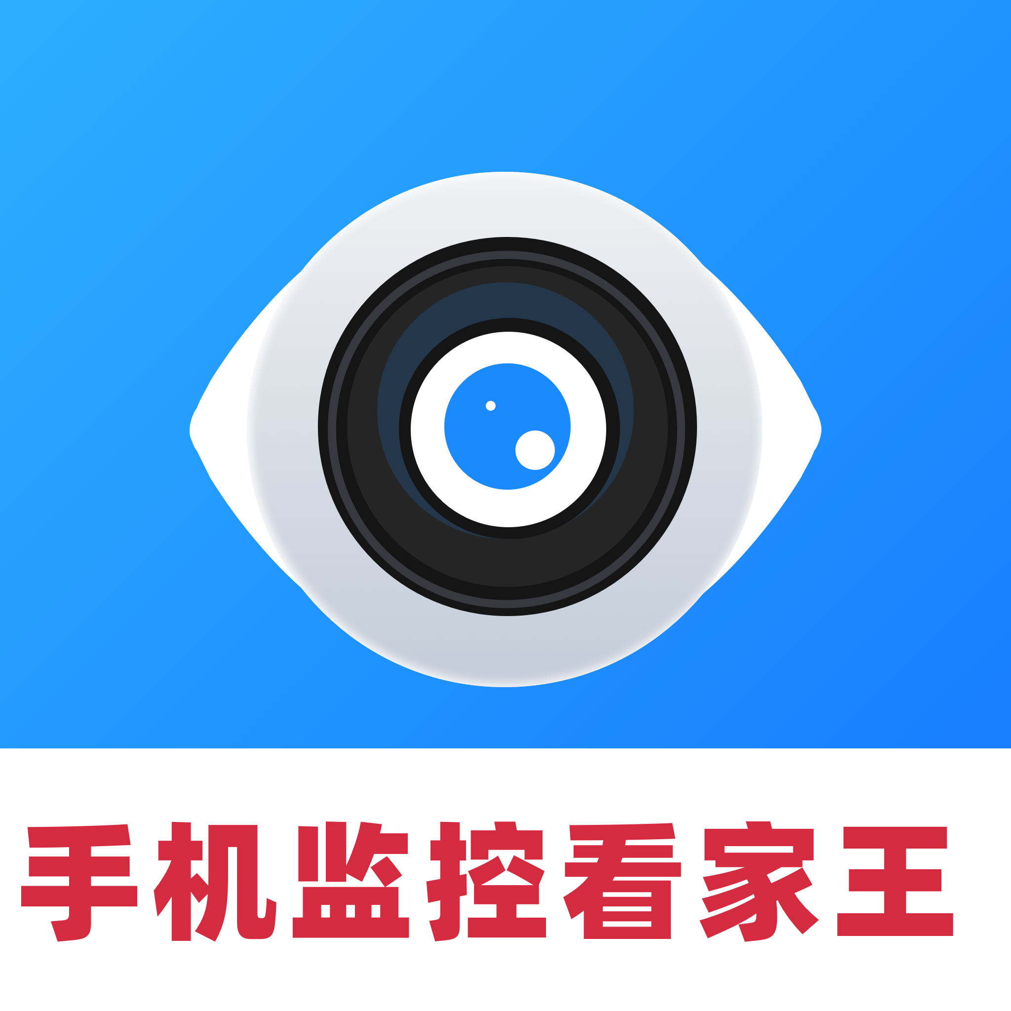 手机监控看家王app图标