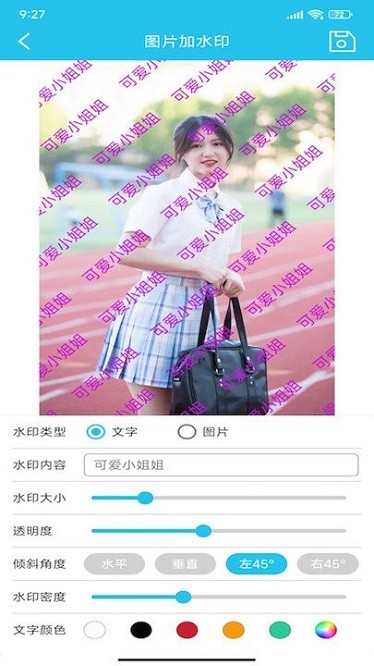 照片全屏加水印大师软件图2