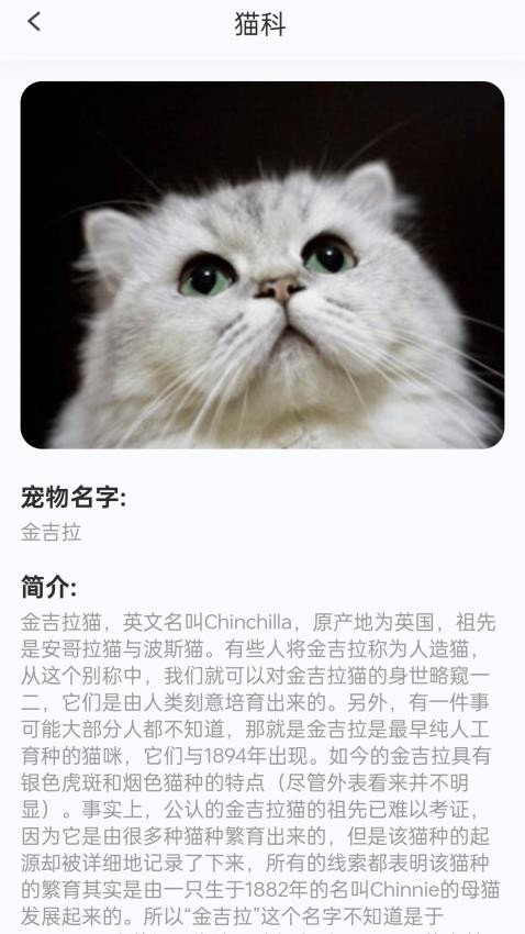 轻松汇看app