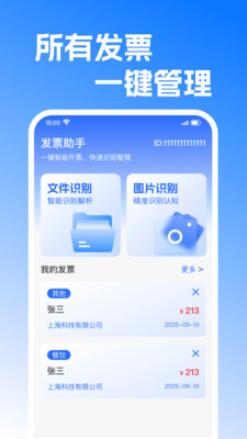 发票处理帮手免费版图4