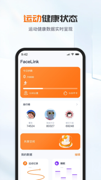 FaceLink软件