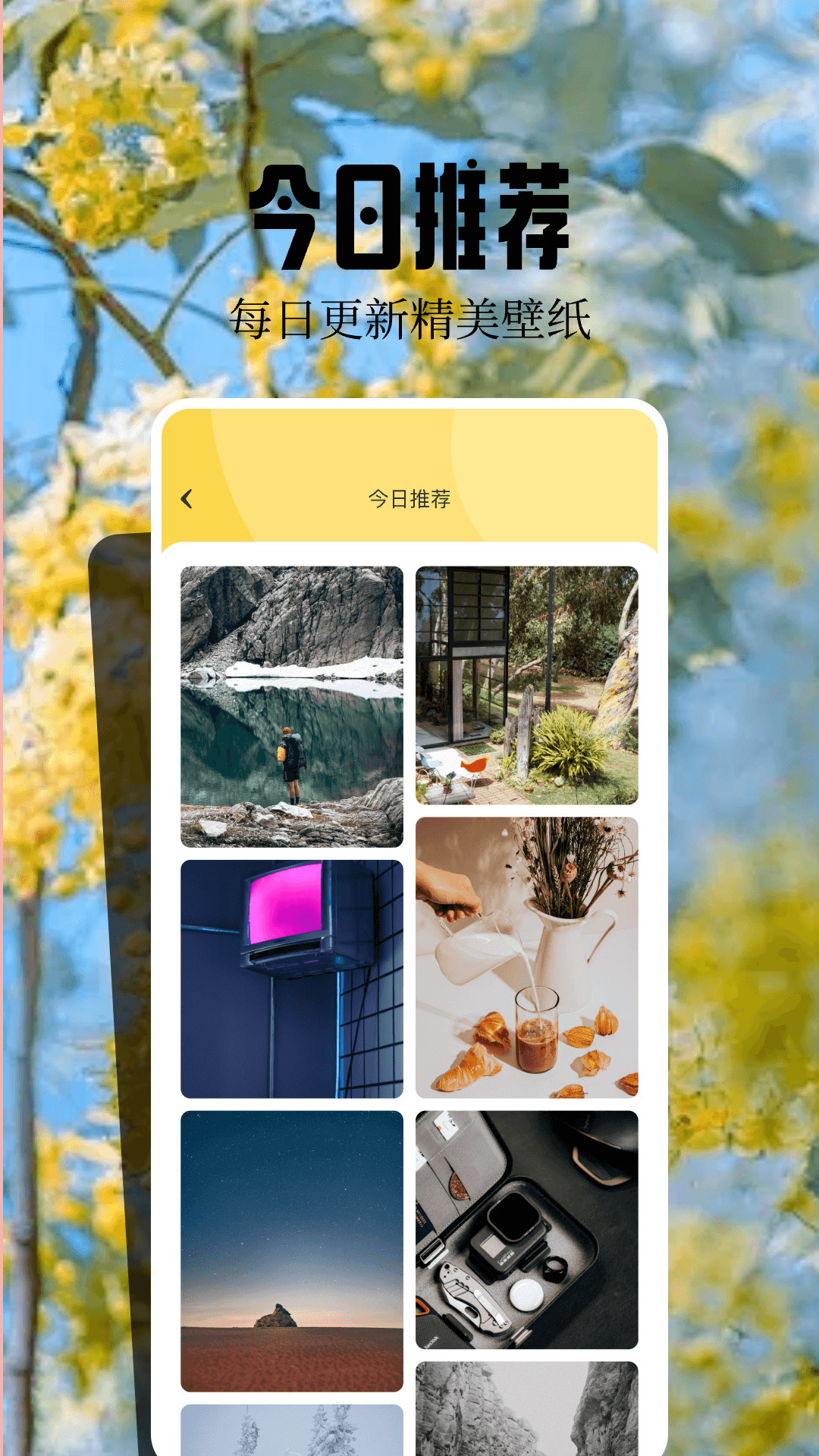 魔秀壁纸app图3