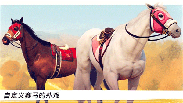 Horse Racing安装器图2