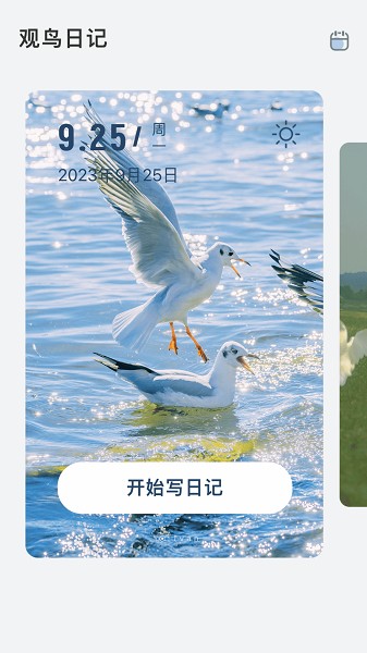 青鸟看看app