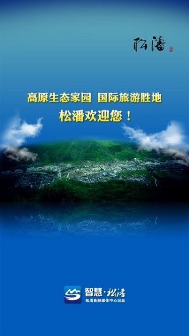 智慧松潘软件