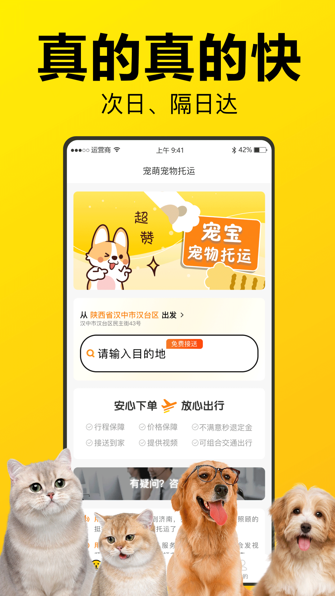 宠宝宠物托运app图3