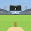 Cricket Battle Championship安卓版图标