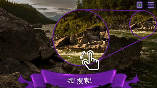 找一只猫游戏