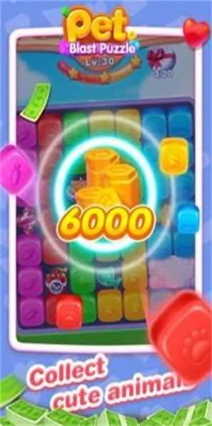 Pet Blast Puzzle游戏