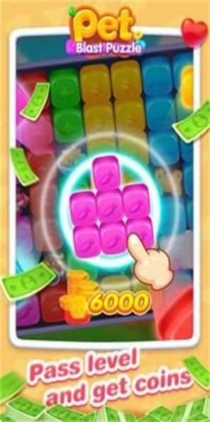 Pet Blast Puzzle游戏图2
