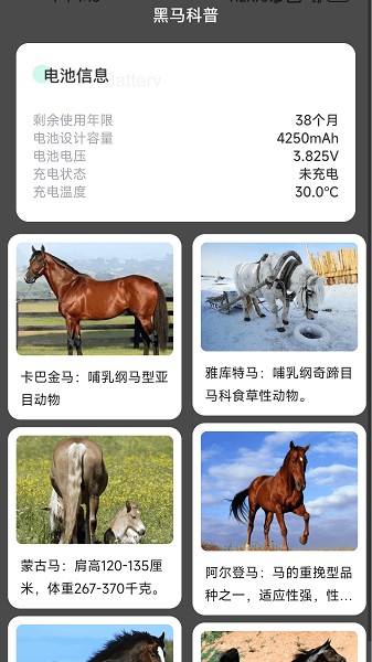 黑马充电app图2
