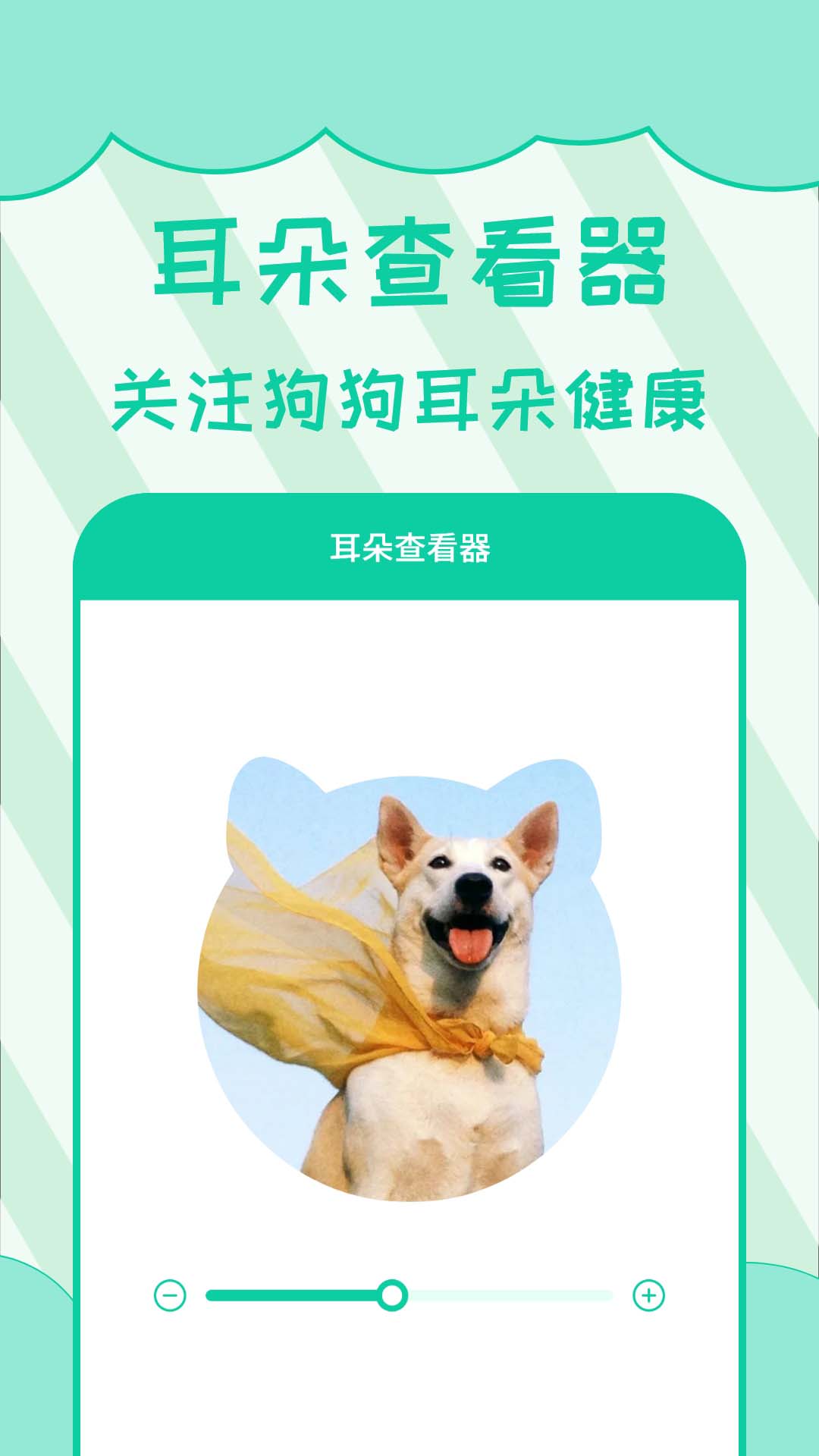 人狗翻译app图4