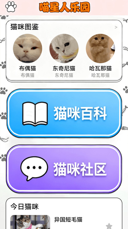 点个猫乐园安卓版图3