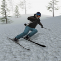 滑雪跑酷大冒险（Alpine Ski III）图标