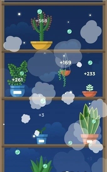放置花园（Terrarium）图3