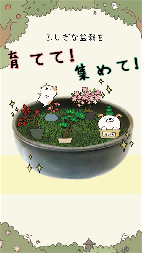 盆栽あつめ图2