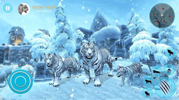 野生白虎家庭模拟(Wild Tiger Simulator Family Sim)图2