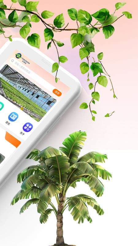 西得香蕉拍卖app图3