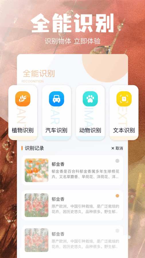 当贝助手app图2