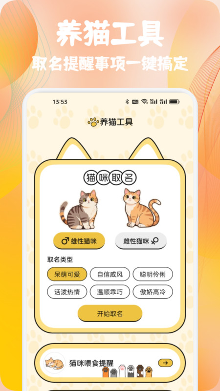 摘星猫喵语软件图1