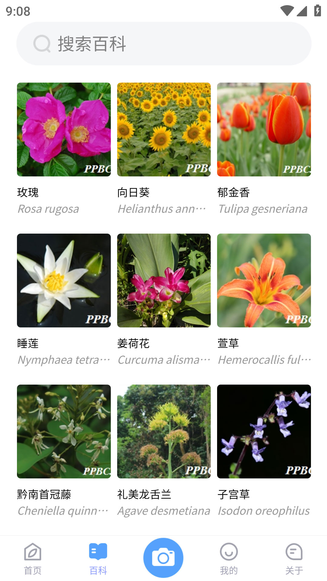 植物智app图3