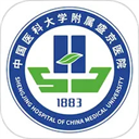 掌上盛京医院app图标