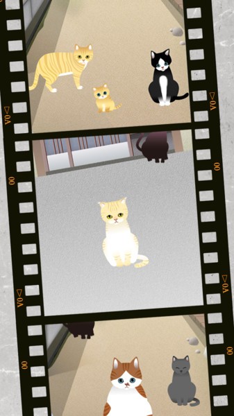 可爱猫咪满满图3