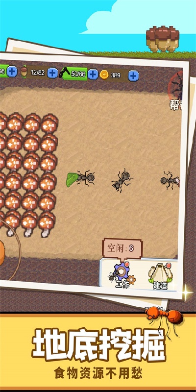蚂蚁星球游戏