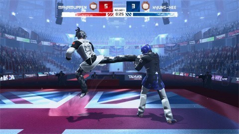 跆拳道大奖赛手游(Taekwondo Grand Prix)图1