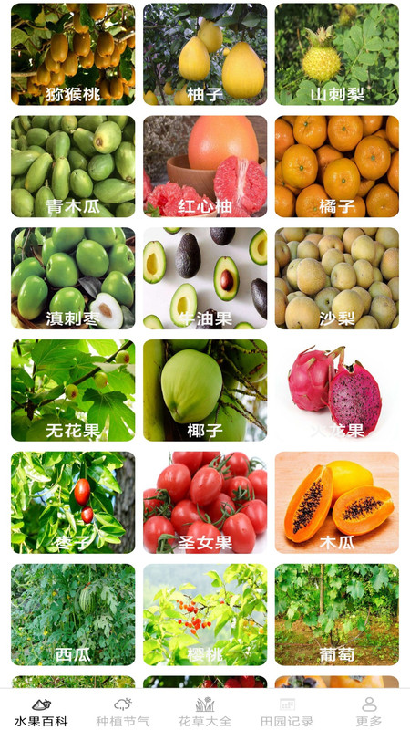 绿意果蔬最新版图4