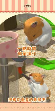 我的仓鼠游戏图2