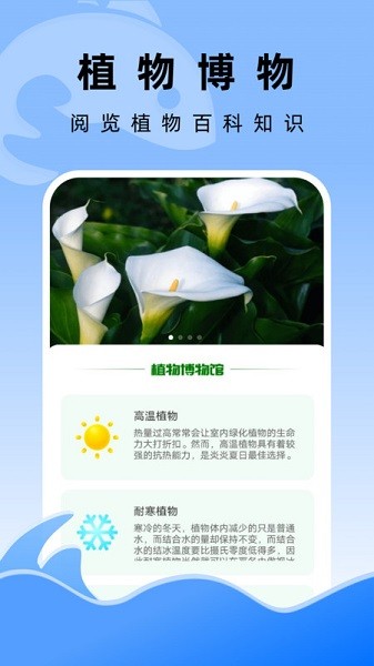 飞鱼文件管家app图2