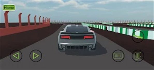 simpe race图3