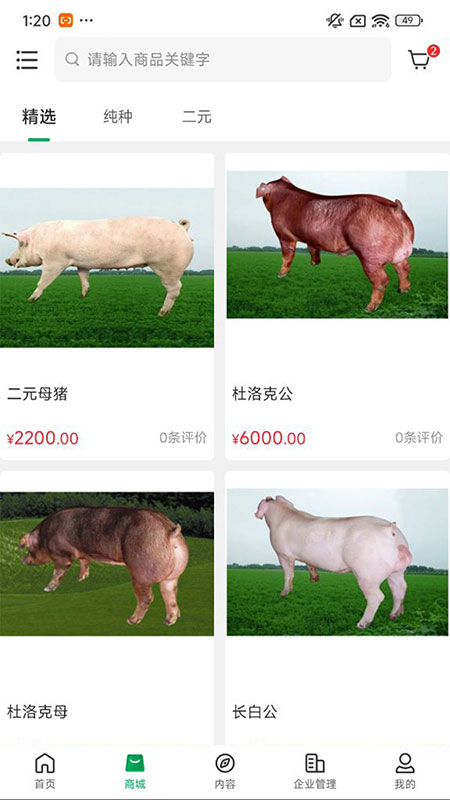 中育种猪app
