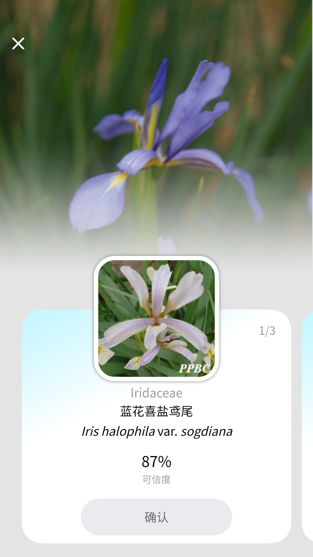 植物智app图2