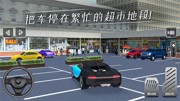 停车专家(中文版)图1