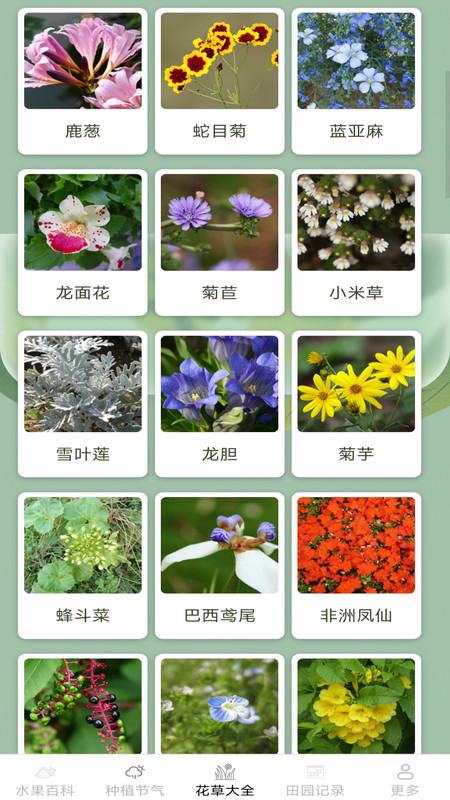 绿意果蔬最新版图3