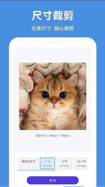 一步证件照app
