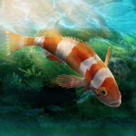 水族馆设计师图标
