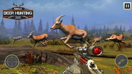 丛林鹿狩猎（Jungle Deer Hunting）图3