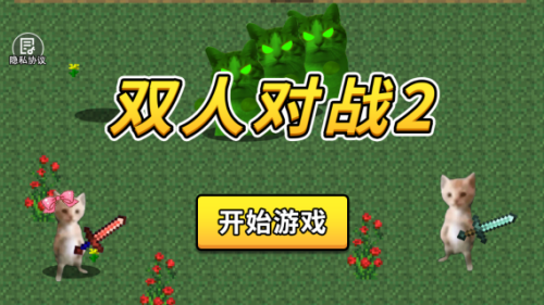 双人对战2游戏