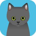 可爱猫咪满满图标