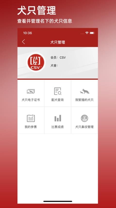 CSV软件图3