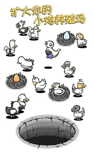 小鸡真奇怪图3