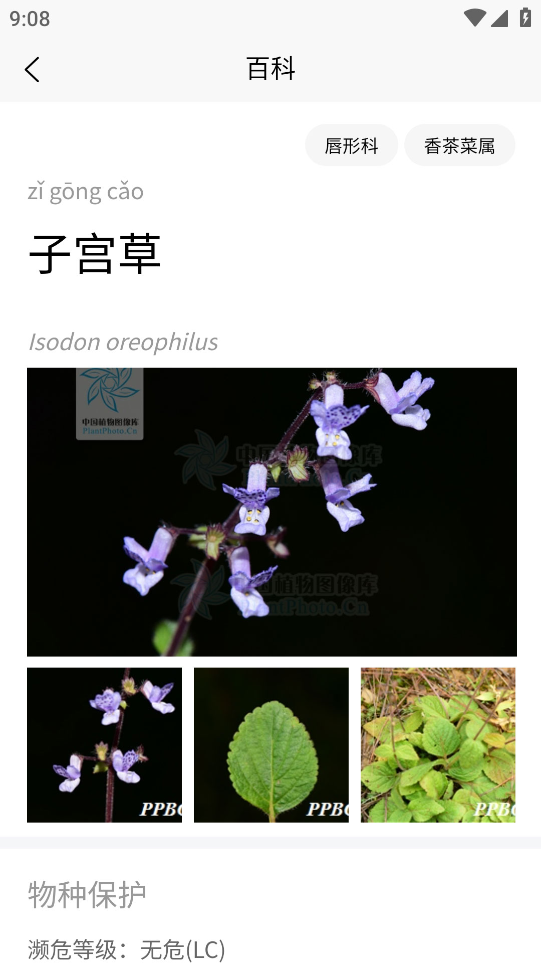 植物智app