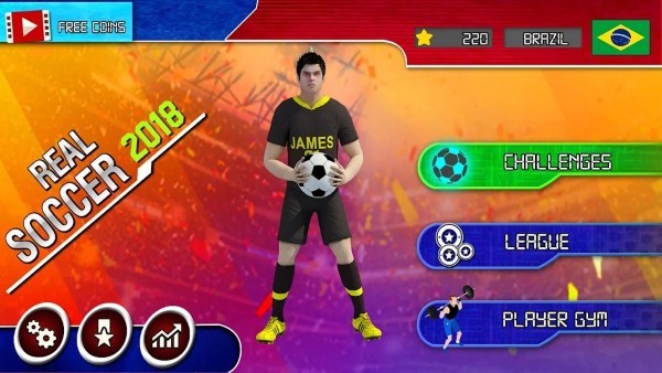 PRO足球挑战（Soccer Challenge!!!）图2