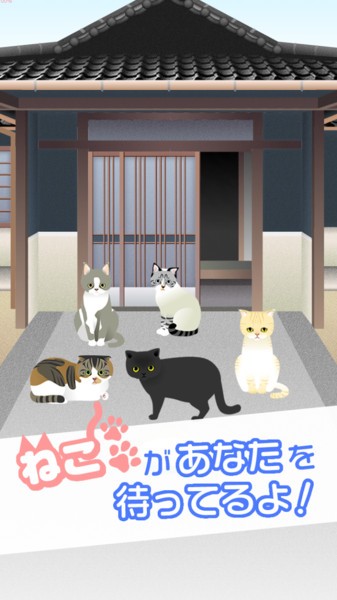 可爱猫咪满满图1