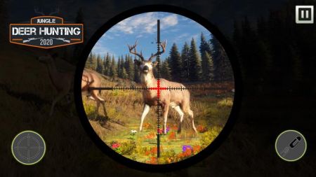 丛林鹿狩猎（Jungle Deer Hunting）图1