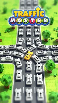 Traffic Master安卓版