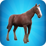 My Horse Simulator游戏图标